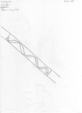 Spirogyrus