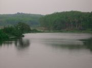 Wildnis...