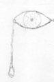 Auge...