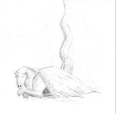 Drache