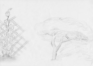 Rose und Baum